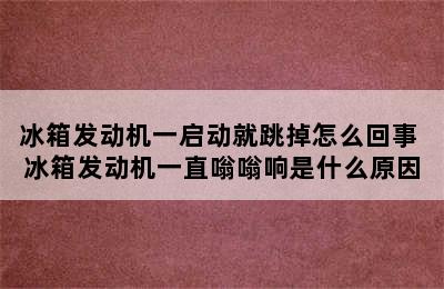 冰箱发动机一启动就跳掉怎么回事 冰箱发动机一直嗡嗡响是什么原因